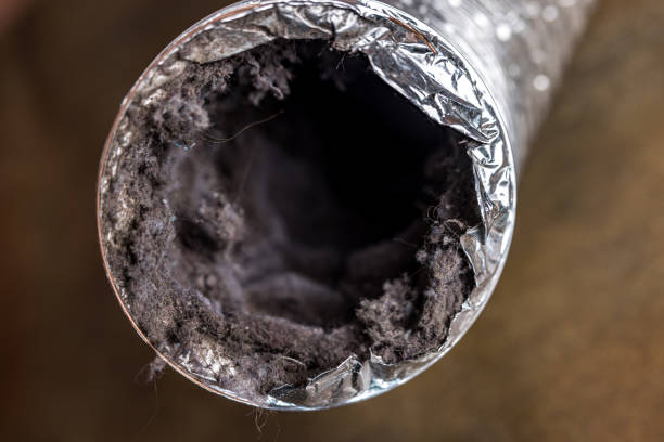 Best HVAC Air Duct Cleaning  in Jefferson, NC